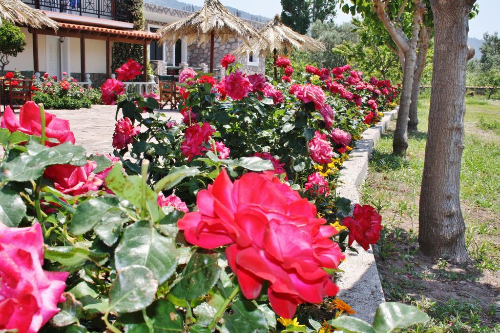 Villa Vicky Petra  Exterior photo